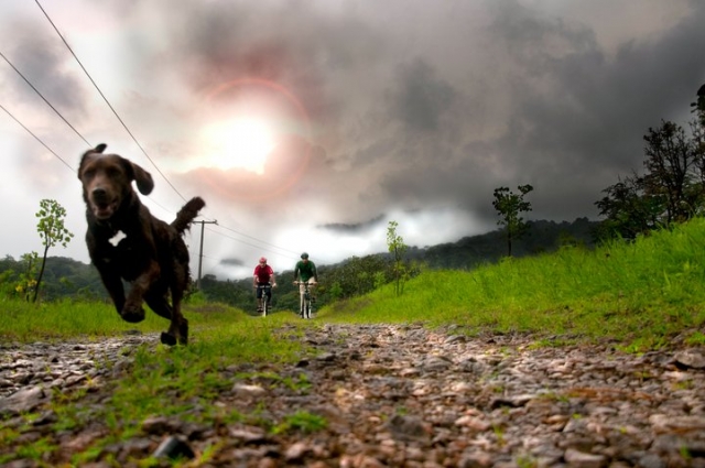 Rutas ciclistas